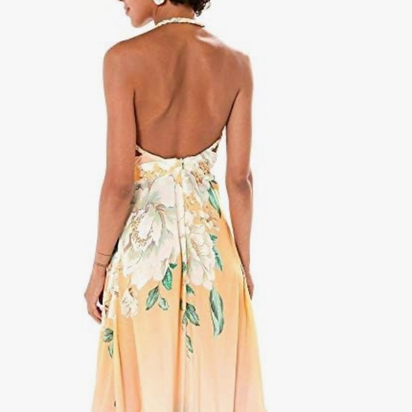 Farm Rio maxi Dress - Picture 4 of 8